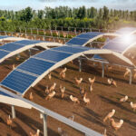Die Zukunft der Solarenergie